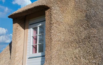 Llanbeder thatch roof disadvantages